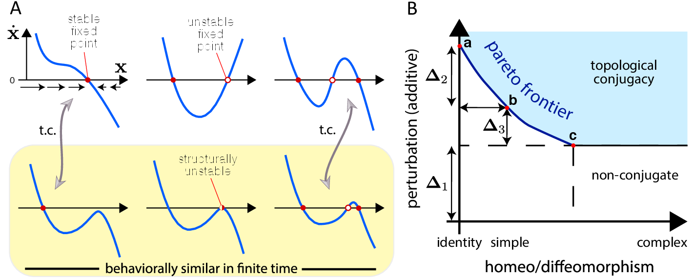 topological_conjugacy_pareto.png